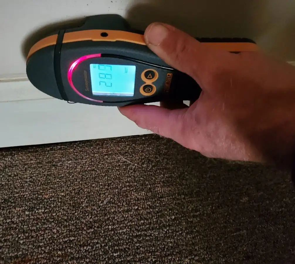 Moisture detection at baseboard during Burst Pipe Cleanup in Frankfort